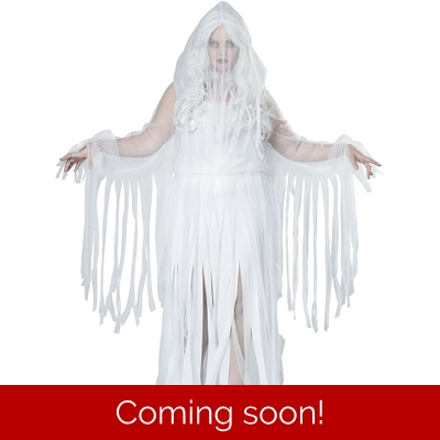 Ghostly Spirit Adult Plus Costume